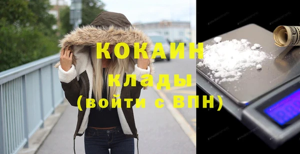 прущие грибы Богданович