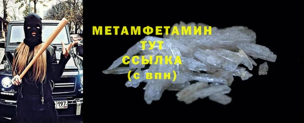 прущие грибы Богданович