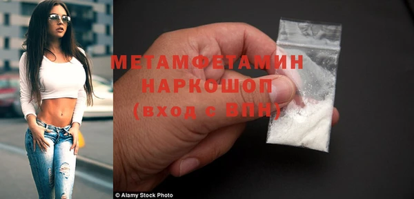 прущие грибы Богданович