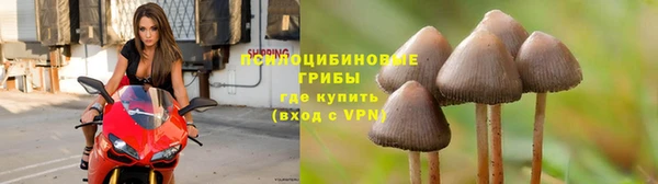 круглые Богородск