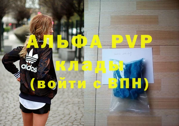 прущие грибы Богданович
