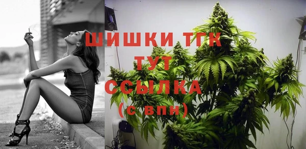 mix Бородино