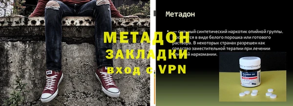 прущие грибы Богданович