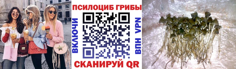 Купить закладки  Макарьев  Галлюциногенные грибы ЛСД 